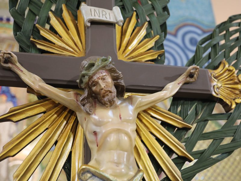 Padre Reginaldo Manzotti preside Santa Missa de Domingo de Ramos