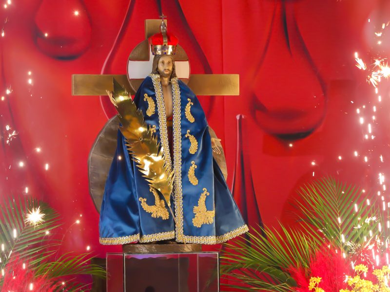 Padre Reginaldo Manzotti preside Santa Missa de encerramento e coroação de Jesus das Santas Chagas