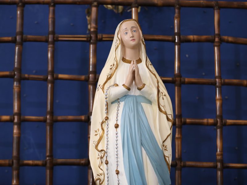 Santa Missa de Nossa Senhora de Lourdes é presidida por Padre Reginaldo Manzotti